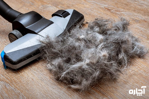 بوی بد جاروبرقی به علت موی حیوان خانگی