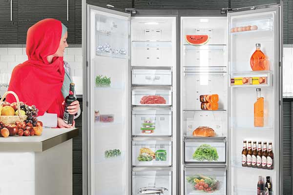 Disadvantages of Doo Twin Freezer Refrigerator