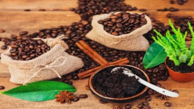تفاله قهوه برای گیاهان آپارتمانی