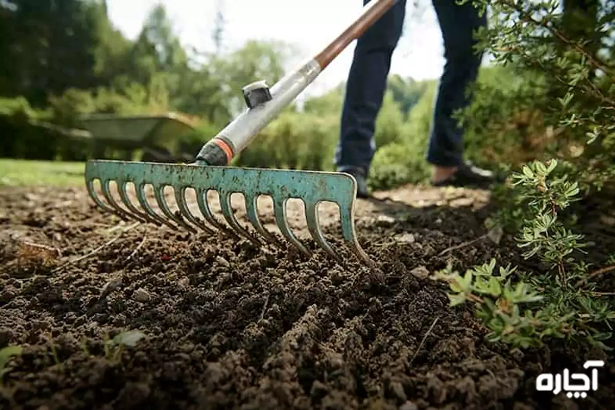 ابزار مورد نیاز برای باغبانی و گلکاری | معرفی ابزارهای باغبانی