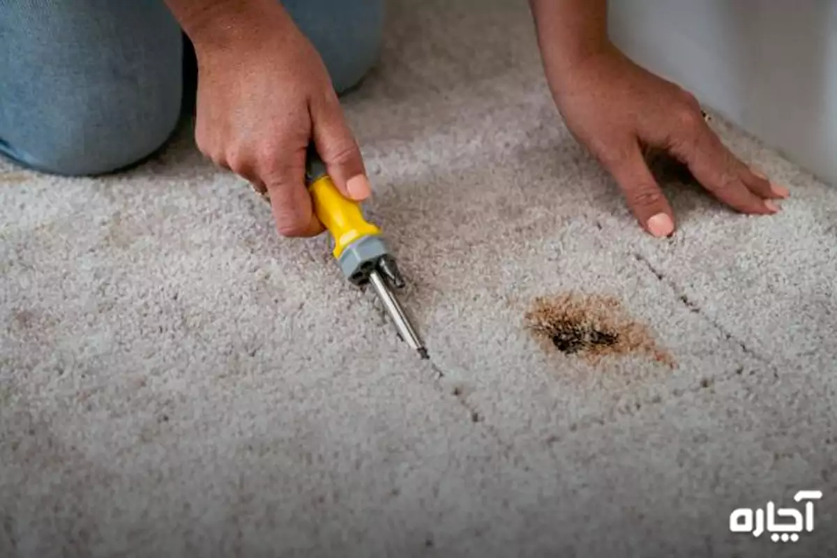 رفع سوختگی فرش با سشوار